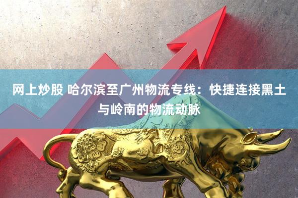 网上炒股 哈尔滨至广州物流专线：快捷连接黑土与岭南的物流动脉